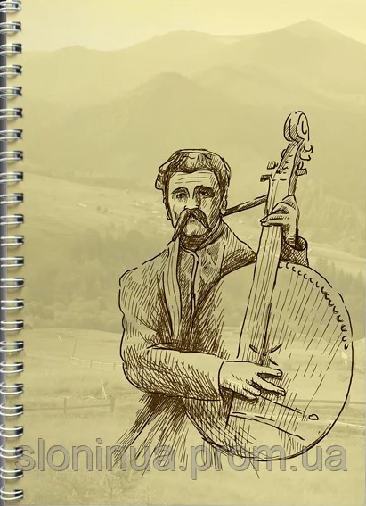 Модуль изображения